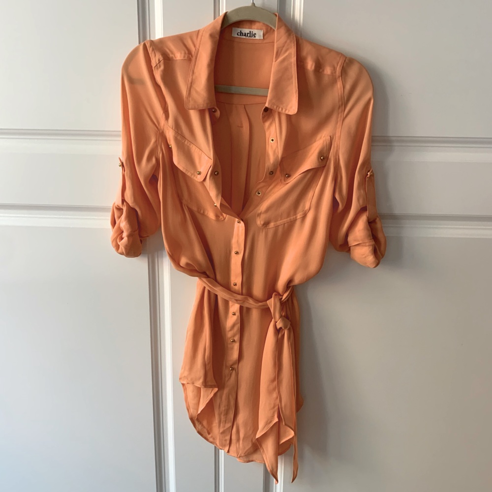 Charlie by Mathew Zink Blouse Dress
